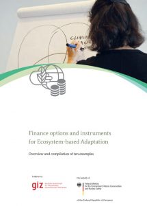 Finance options and instruments for Ecosystem-based Adaptation ...