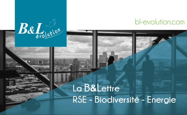 « Territoires, finance, adaptation… : Bilan des actions climat des acteurs non-étatiques et secteurs d’émissions GES »