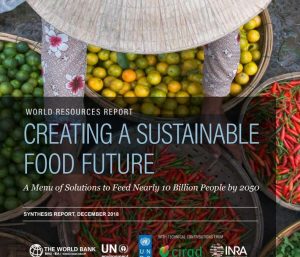 Creating a sustainable food future “A Menu of Solutions to Feed Nearly