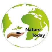 Nature Today - Ghana