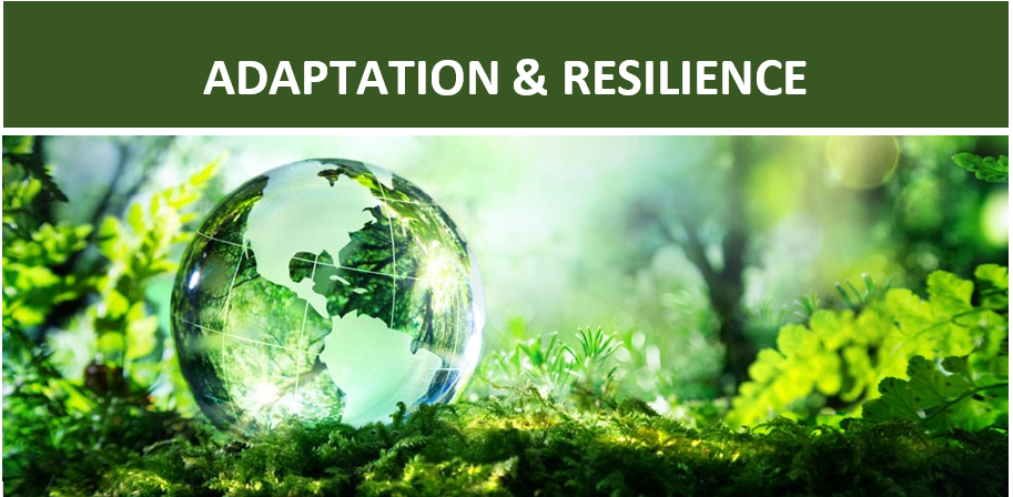 Adaptation and Resilience Coalition | Climate Chance