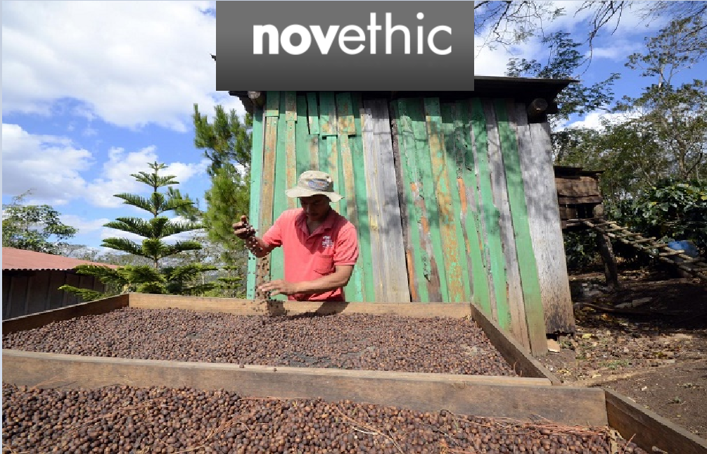 Tour du monde #Adaptation : Nicaragua, péril sur la production de café