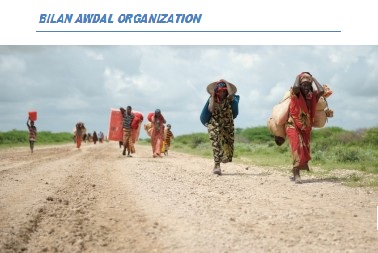 Bilan Awdal Organisation Somalia