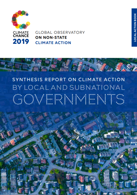 Local Action Report 2019