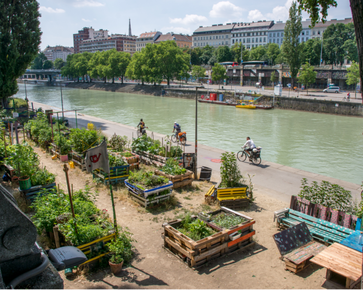 Publication du Bilan mondial de l’action climat des territoires 2021