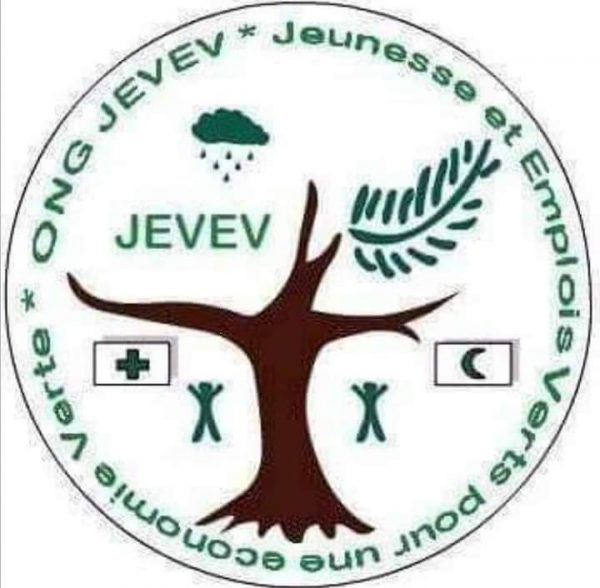 ONG JEVEV (Jeunesse et Emplois Verts pour une Economie Verte)