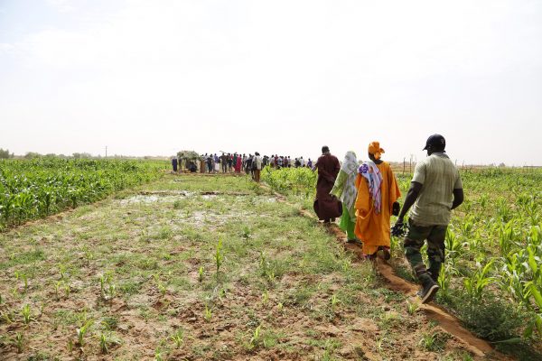 Qui sont les experts de l’adaptation au changement climatique ? Une ...