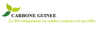 Carbone Guinée