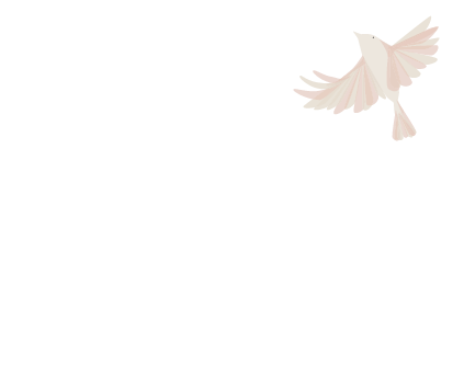 Project Soar