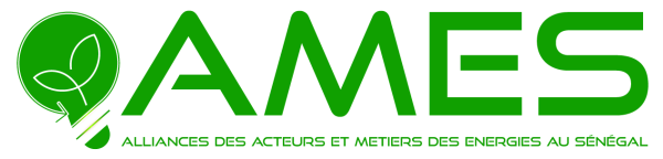 Alliance des Acteurs et Métiers des Energies au Sénégal (AMES)