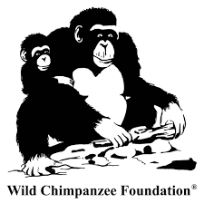 Wild Chimpanzee Foundation