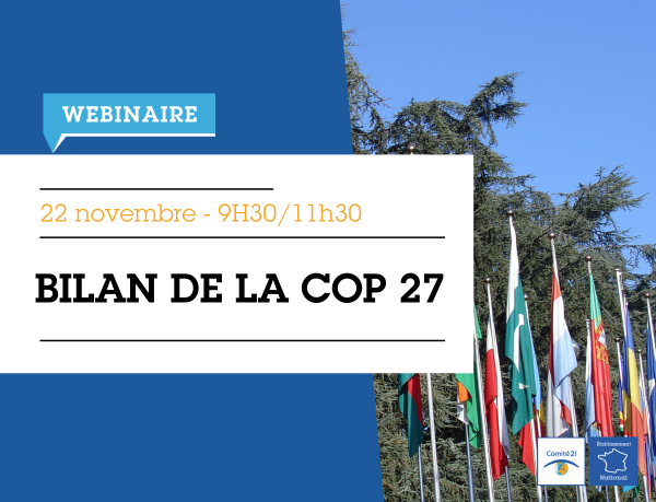 Evénement | Webinaire d’analyse de la COP 27 avec Comité 21