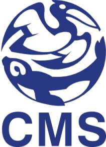 CMS