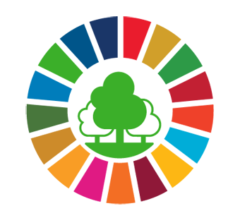 UN Forum on Forests