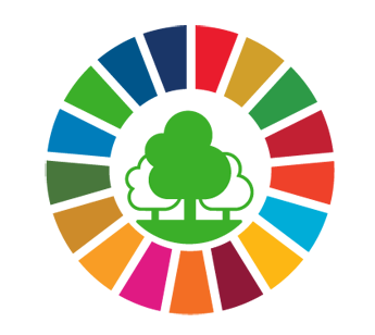 Forum des Nations Unies sur les forêts