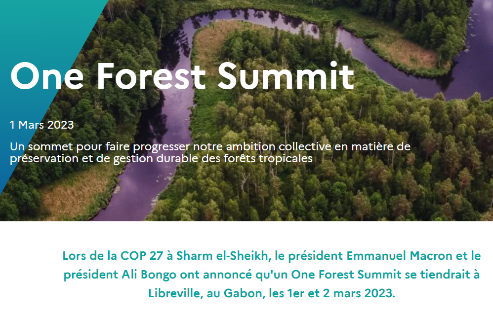 One Forest Summt Capture FR