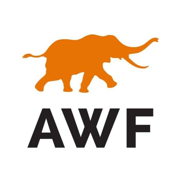  African Wildlife Foundation 