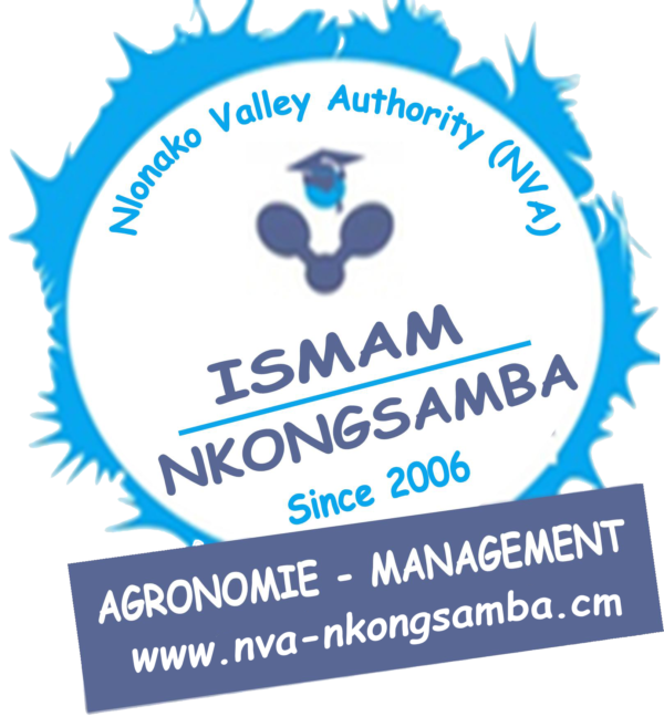 Institut Supérieur de Management du Manengouba ( ISMAM Nkongsamba)