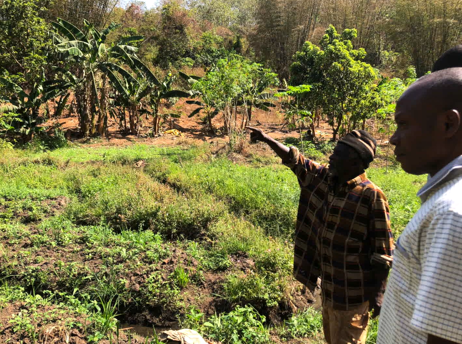 Watch a video of the Biodiversity Corridors demonstration project in the Republic of Guinea