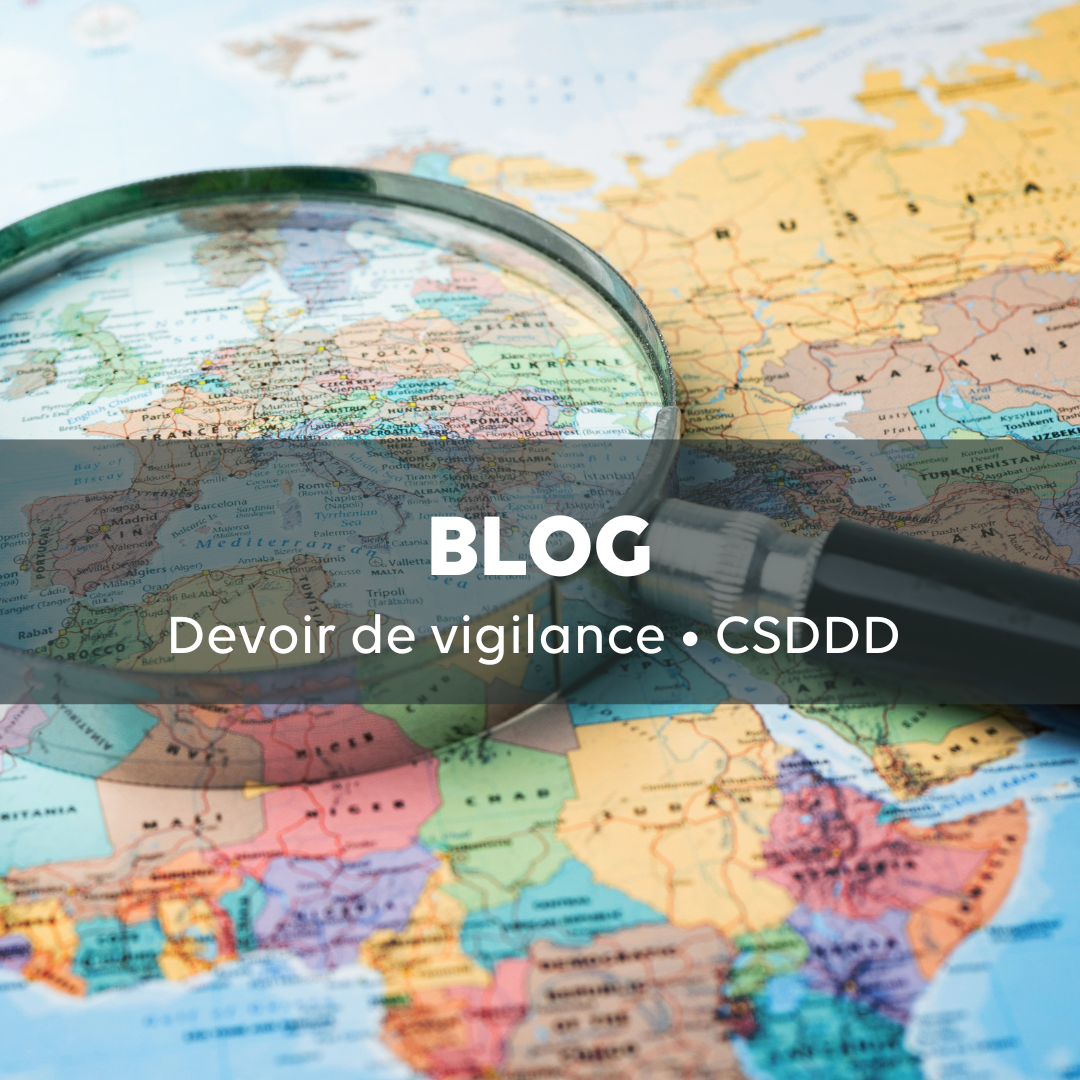 Notre nouvelle note de Blog sur la #CSDDD 