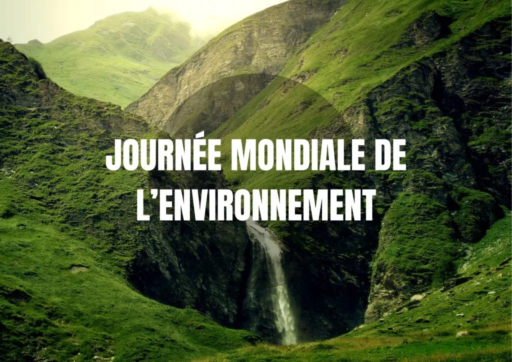 Journée mondiale de l’environnement 2024