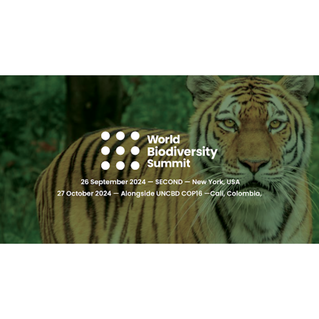 World Biodiversity Summit 2024