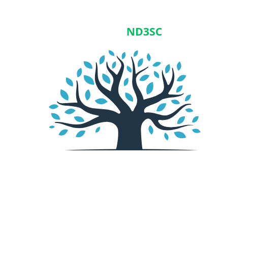 Nouvelle Dynamique de Développement Durable et de Santé communautaire