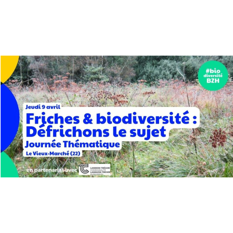 Journée thématique — Friche & biodiversité : défrichons le sujet !
