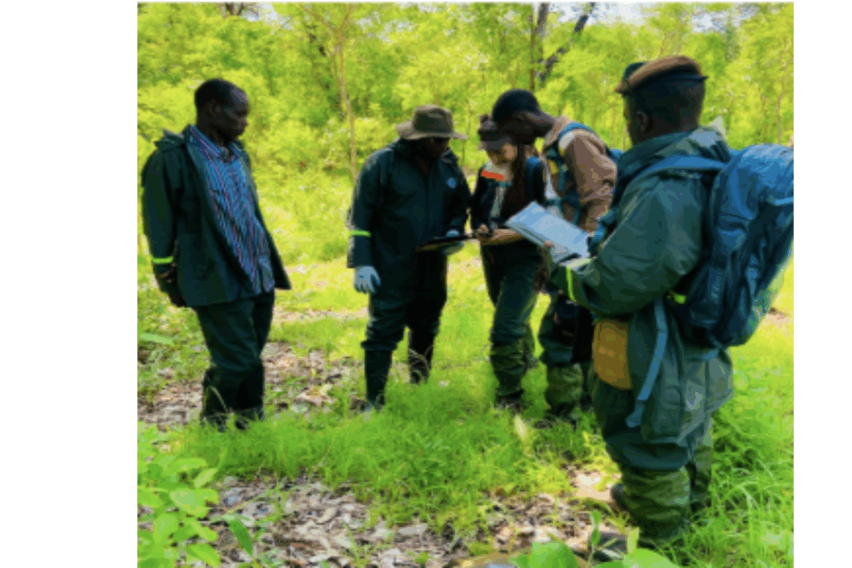 Retour sur la mission de terrain de notre équipe Climate Chance en Guinée