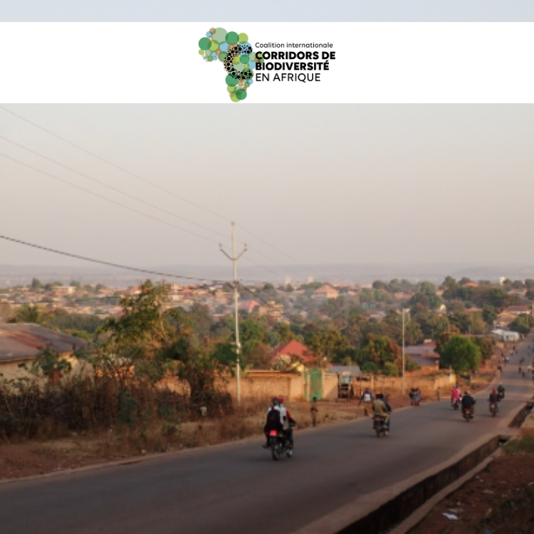 Genre et biodiversité à Lebekere : renforcer l’inclusion des femmes