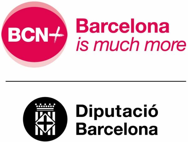  Barcelona Provincial Council