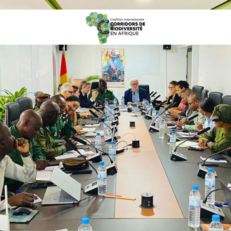 Guinée : étape clé lors du Comité de Pilotage à Conakry