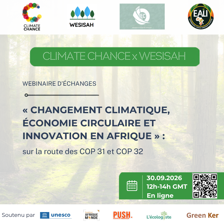 Webinaire d&rsquo;échange « Changement climatique, économie circulaire et innovation en Afrique »